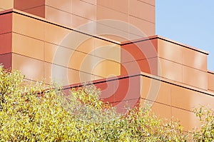 Abstract architecture detail with modern facade and tree leaves