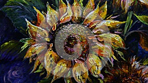 Abstract art background , Modern art , Hand drawn ,oil color  sun flower texture on canvas from thailand