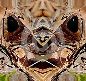 Abstract Art: Dual Imaging: Sulphur-Winged Grasshopper Old Man