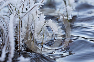 Abstract art. Frosty hays and the water surface. Cold morning.