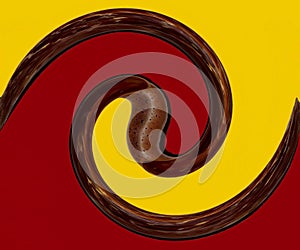 Abstract Art: Garden Snail Spiral