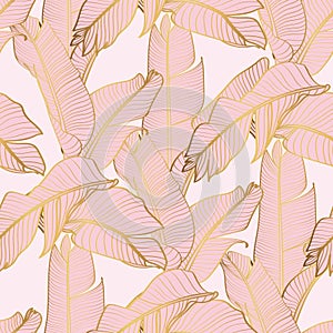 Abstract art Pink Golden leaves background. Wallpaper design with line art texture from bananas leaves, Jungle leaves.