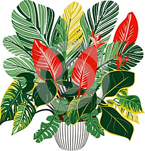 Abstract art tropical leaves bouquet vector. Palm leaves, Jungle leaves, monstera leaf, exotic botanical floral theme