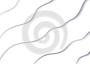 Abstract art white background with wavy gray colors lines. Backdrop with curve fluid black striped ornate