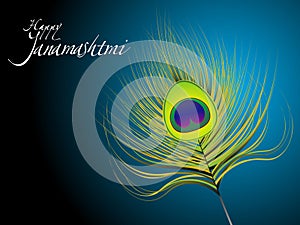 Abstract artistic janamashtmi background