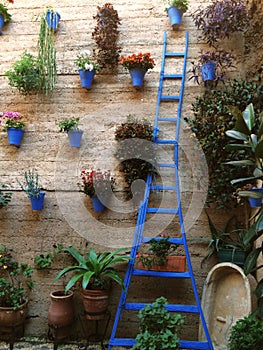 Abstract of artistically Decorated wall with plants.