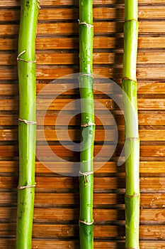abstract, asia, background, bamboo, biological, climate, culture, decoration, feng, feng-shui, fengshui, forest, freshness, garden