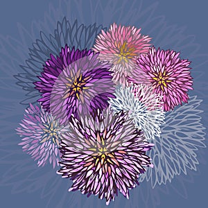 Abstract aster flower pattern