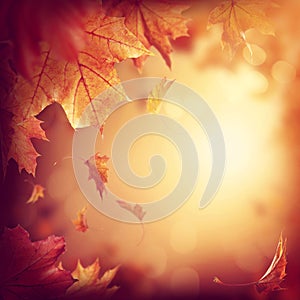 Abstract autumn background