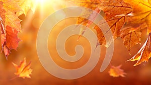 Abstract autumn background