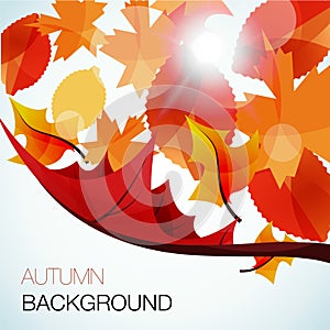 Abstract autumn background