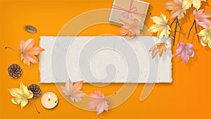 Abstract Autumn background