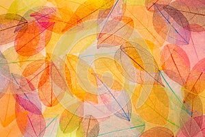 Abstract autumn background