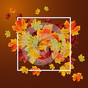 Abstract autumn background