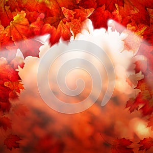 Abstract Autumn Background Border with Maple Leaves