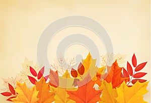 Abstract autumn background with colorful leaves.