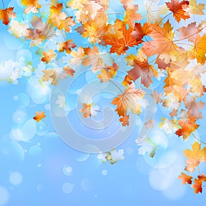 Abstract autumn background. EPS 10