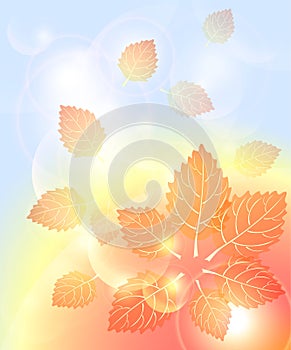 Abstract autumn background with leaves bubbles and