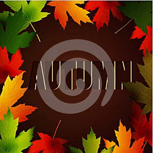 Abstract Autumn background with maple leaves