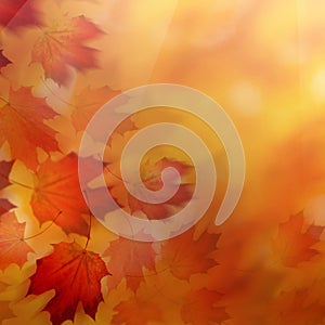 Abstract Autumn Background with Red Leaves