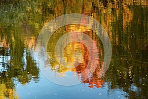 Abstract autumn background with yellowed trees reflected in the water