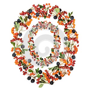 Abstract Autumn Berry Wreath