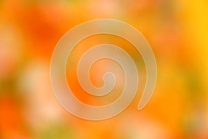 Abstract autumn blur background - orange wallpaper