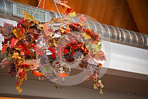 Abstract autumn composition with transparent spheres-2-2