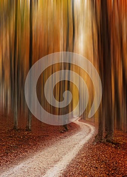 Abstract autumn forest magic background