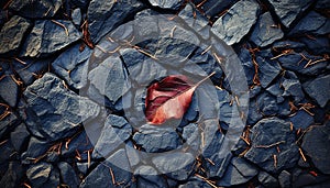 Abstract autumn leaf pattern on dirty stone backdrop generated by AI