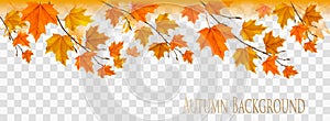 Abstract autumn panorama with colorful leaves
