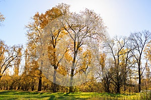 Abstract autumn seasonal background for weather forecast with selective focus and copy space