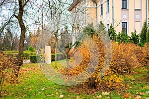 Abstract autumn seasonal background for weather forecast with selective focus and copy space