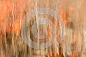 Abstract Autumn Tree Reflection Background