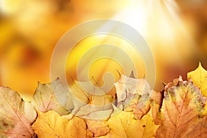 Abstract autumnal background