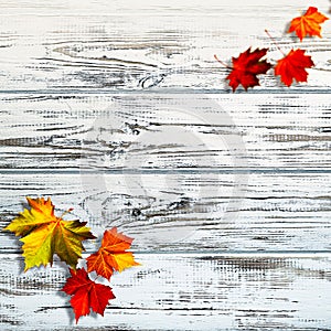 Abstract autumnal backgrounds.