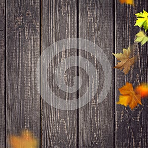 Abstract autumnal backgrounds.