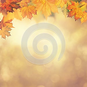 Abstract autumnal backgrounds