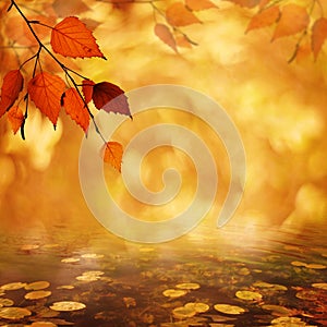 Abstract autumnal backgrounds