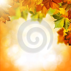 Abstract autumnal backgrounds