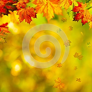 Abstract autumnal backgrounds