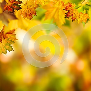 Abstract autumnal backgrounds