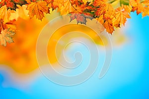 Abstract autumnal backgrounds