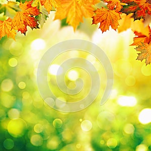 Abstract autumnal backgrounds