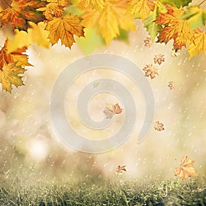 Abstract autumnal backgrounds