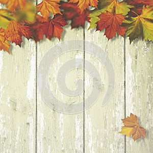 Abstract autumnal backgrounds