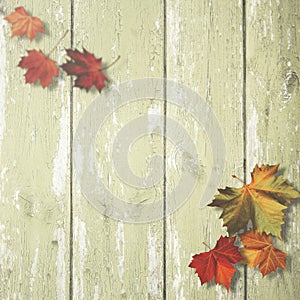 Abstract autumnal backgrounds