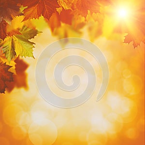 Abstract autumnal backgrounds photo