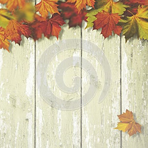 Abstract autumnal backgrounds photo
