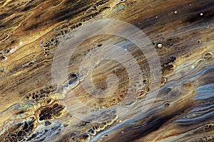 Abstract paint background